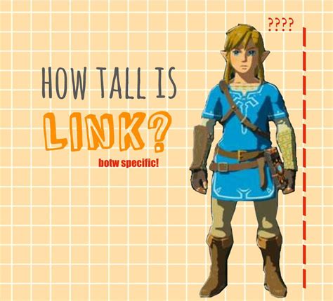 zelda height botw